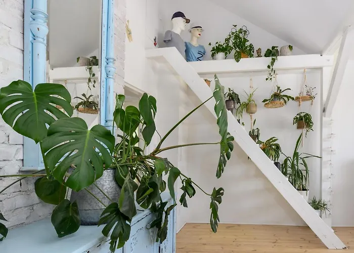 Vintage Na Kamiennej Gorze Lägenhet *